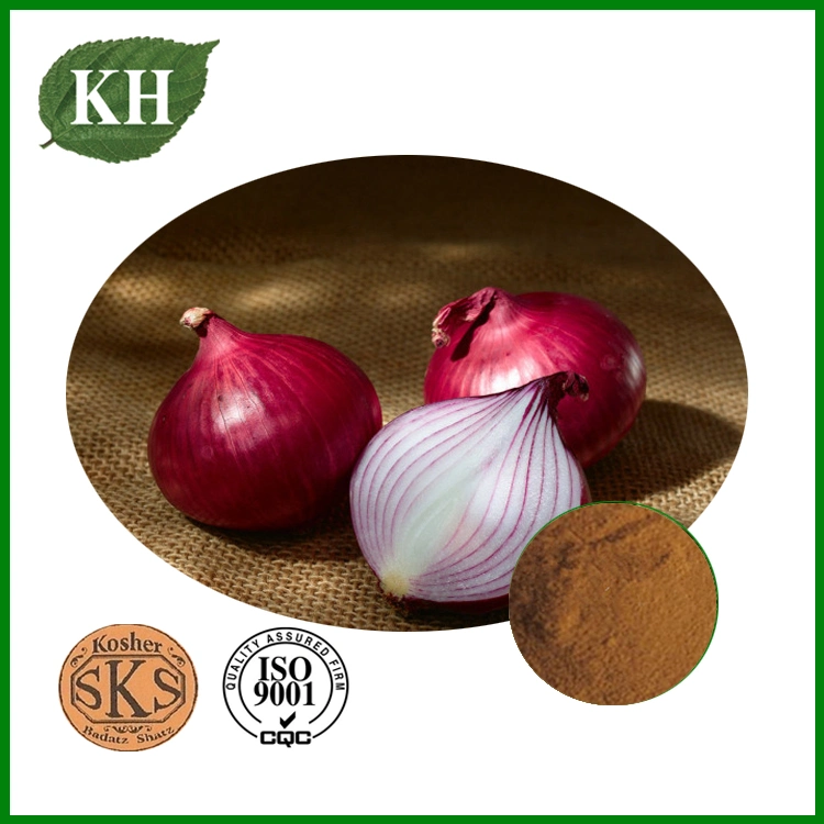 High Quality Onion Extract 10% 40% Quercetin