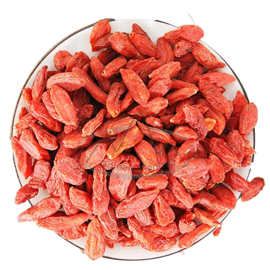 New Season Bulk Goji Berries Export for World