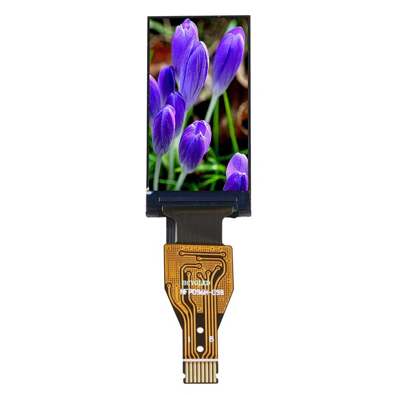 0.96-Inch Mini TFT LCD Screen with Color and 80X160 Resolution