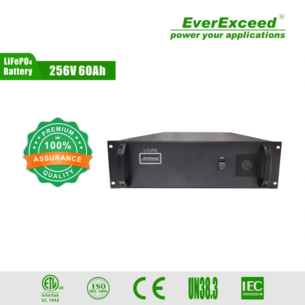 Rechargeable 256 V 60ah Solar Lithium UPS Battery LiFePO4 6000 Cycles Storage for Energy Storage System