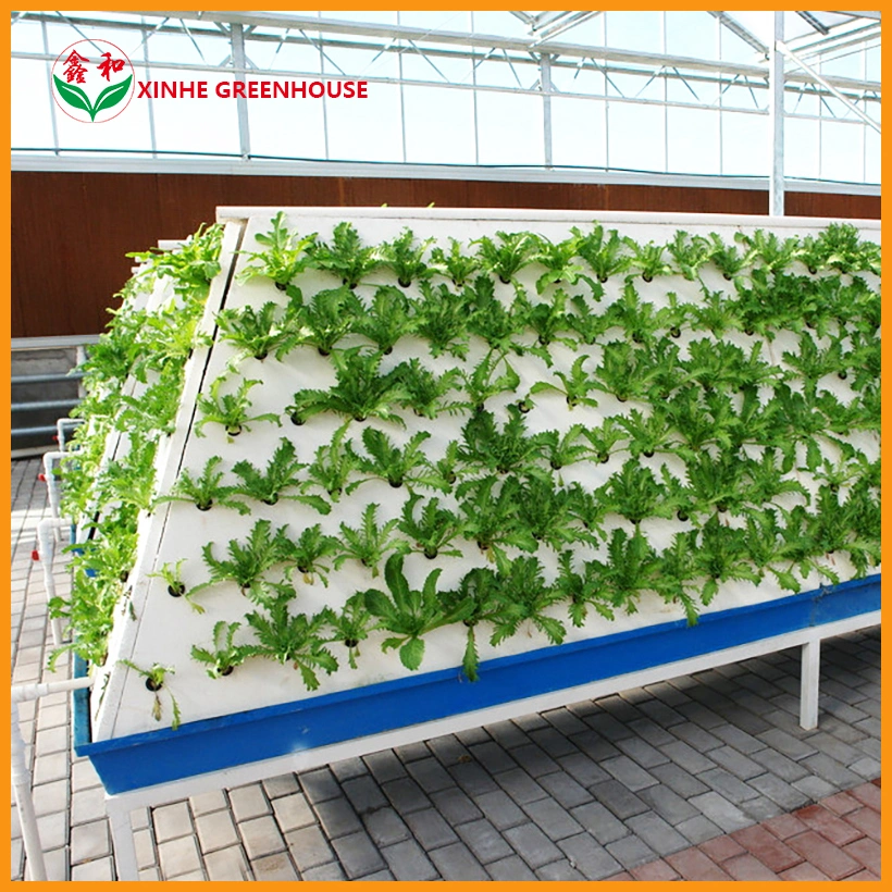 Upright Hydroponic System a Frame Farm Intelligent Control System