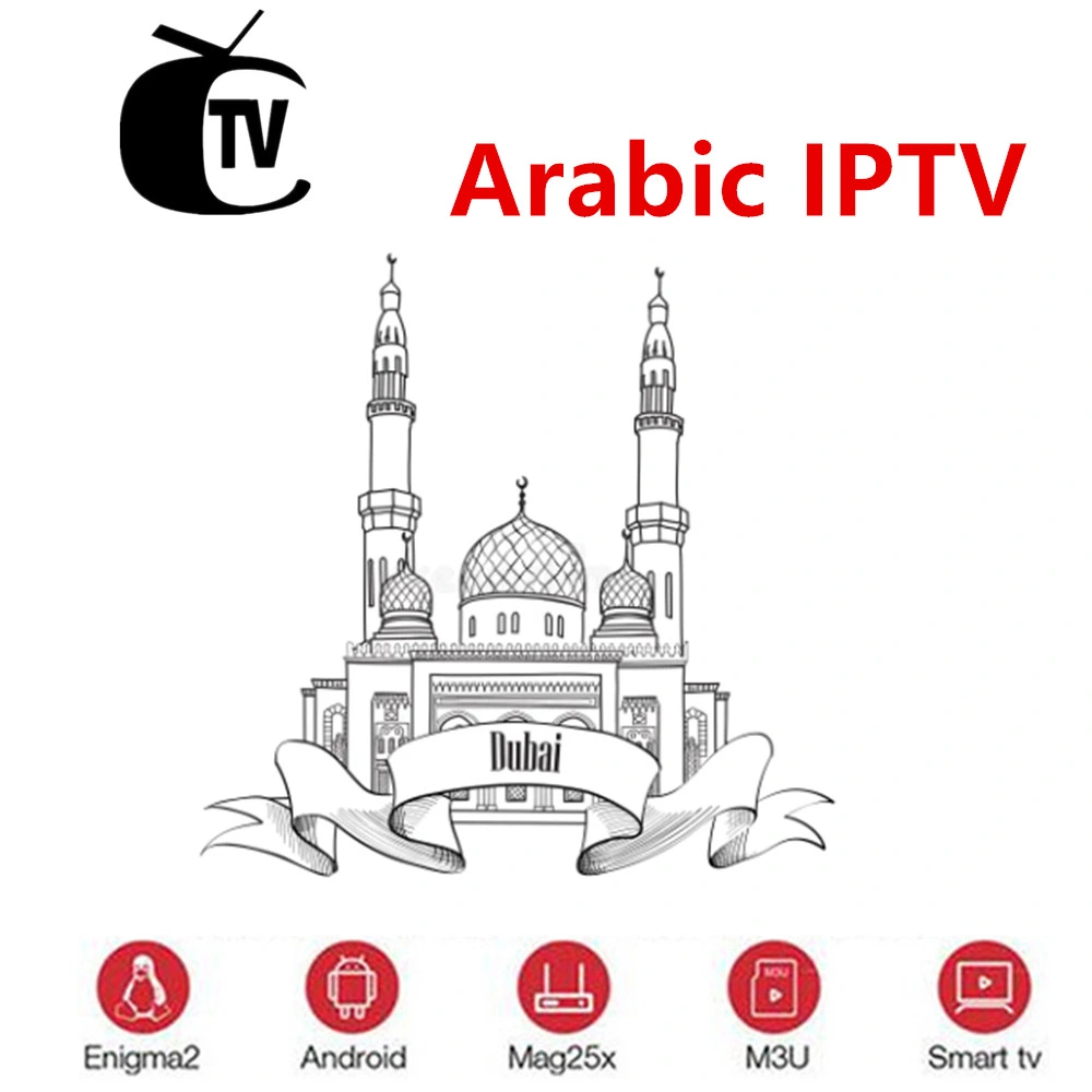 IPTV 12 Monate Abonnement 4K M3U Code USA Europa Arabisch Channel Smarter World Server