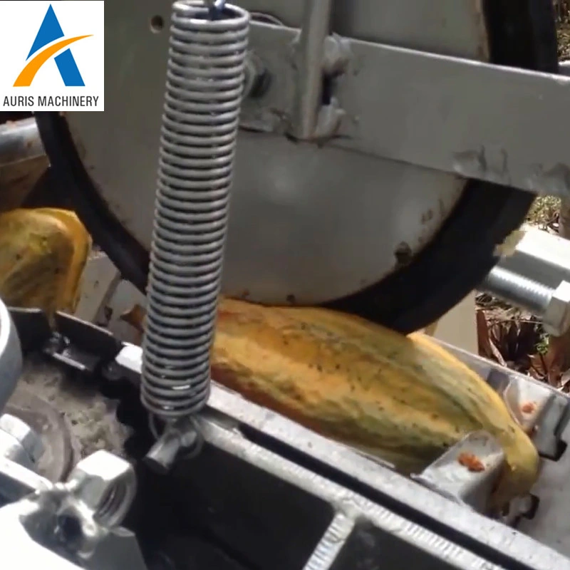 Automatic Fresh Cocoa Pods Breaking Machine Cocoa Pod Dehusking Splitting Machine