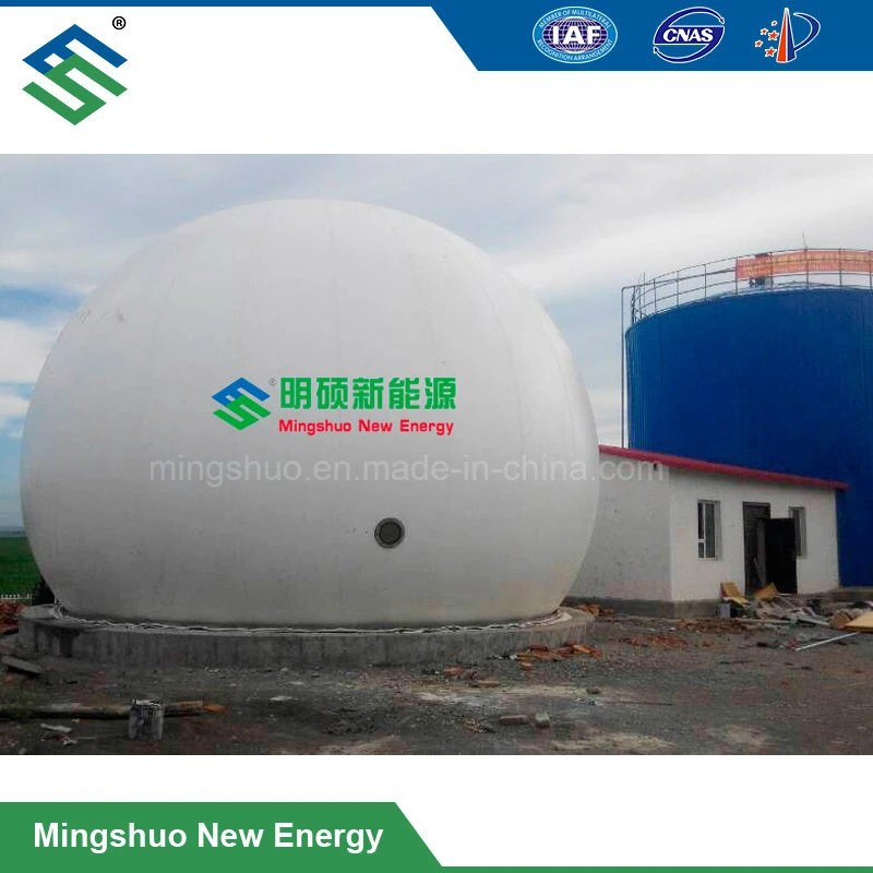 Biogas Storage Bag for Biofuels and Other Gases