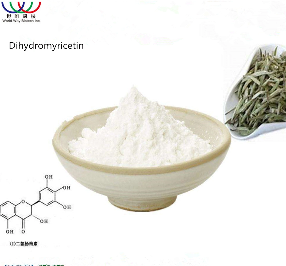 Natural Dihydromyricetin Powder 10%~98% Dhm/Dihydromyricetin 98% Vine Tea Extract