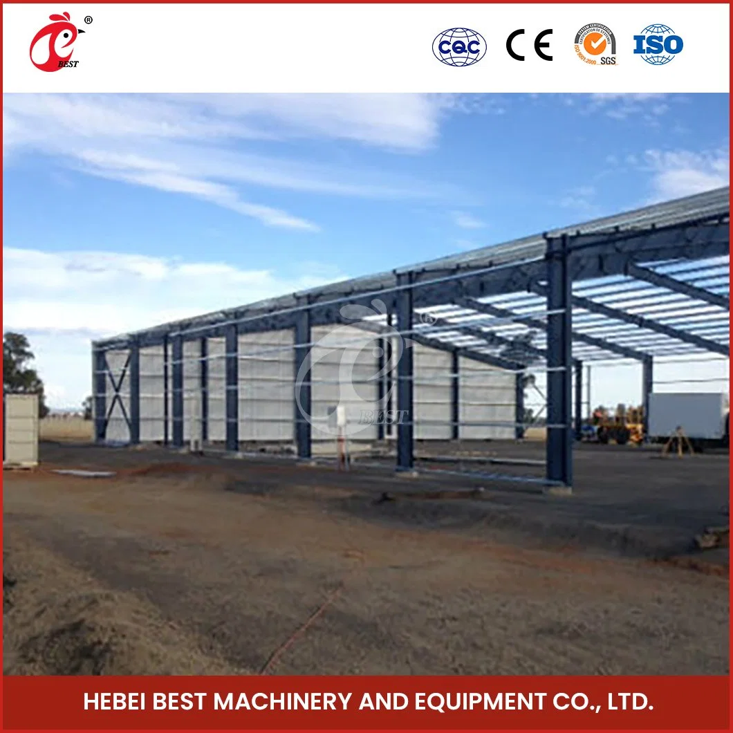 Bestchickencage Steel Poultry House China Low-Cost Steel Prefab Poultry House Supplier Wholesale/Supplier High Rigid Steel Structure Chicken Farm