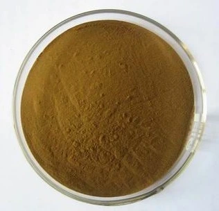 Echinacea Angustifolia Root Extract Echinacea Purpurea Herb Powder for Wholesale/Supplier