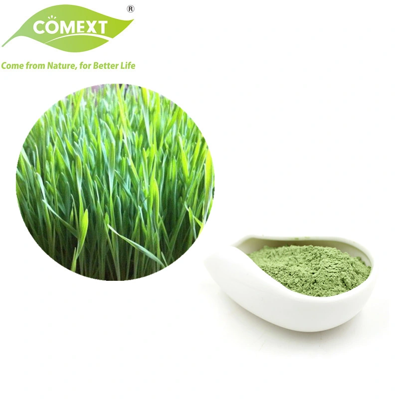 Comext USA Warehouse in Stock Free Sample High Quality Organic Wheat Grass Powder