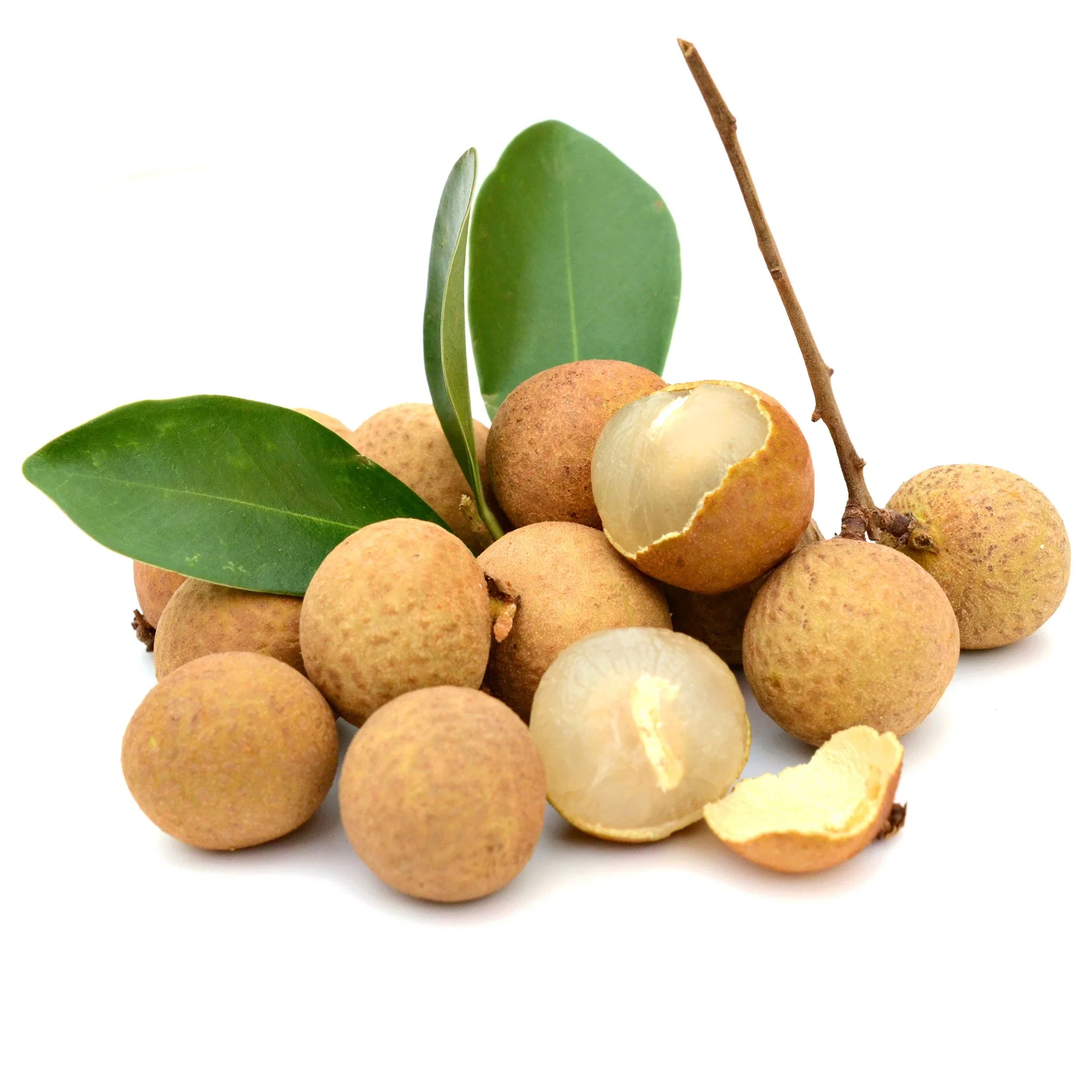 New Season Good Quality Cheap Price 567g Canned Longan Fruit in Syrup Wholesale/Supplierr