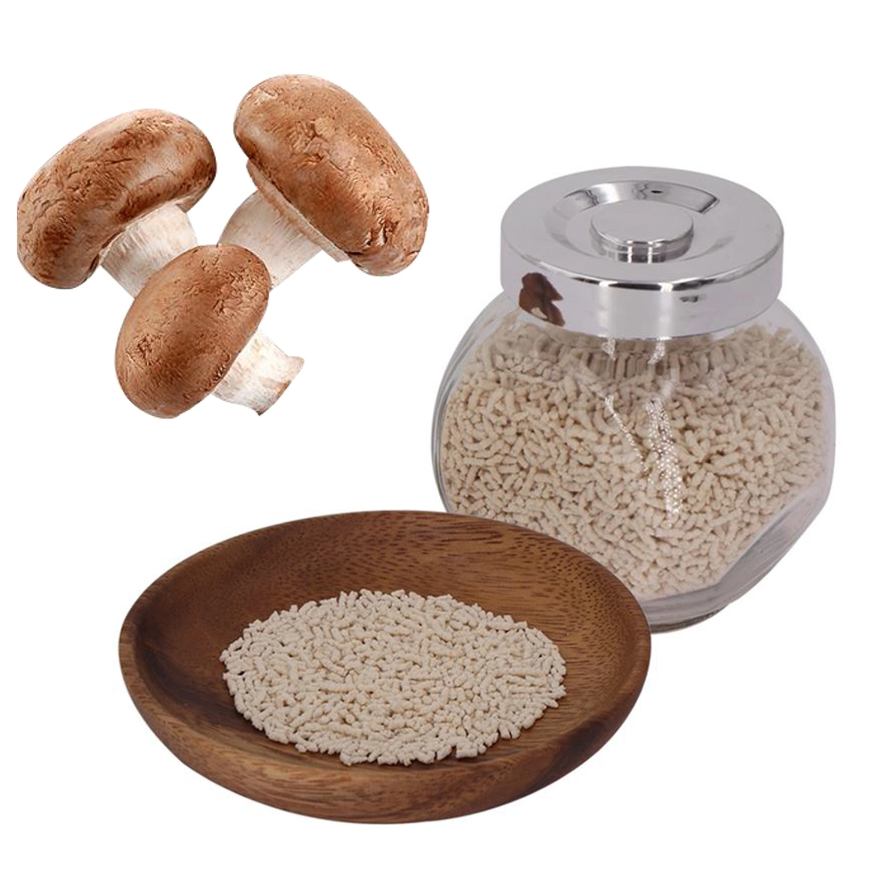 2022 Hot Pot Cooking High quality/High cost performance  Shiitake Mushroom Seasoning