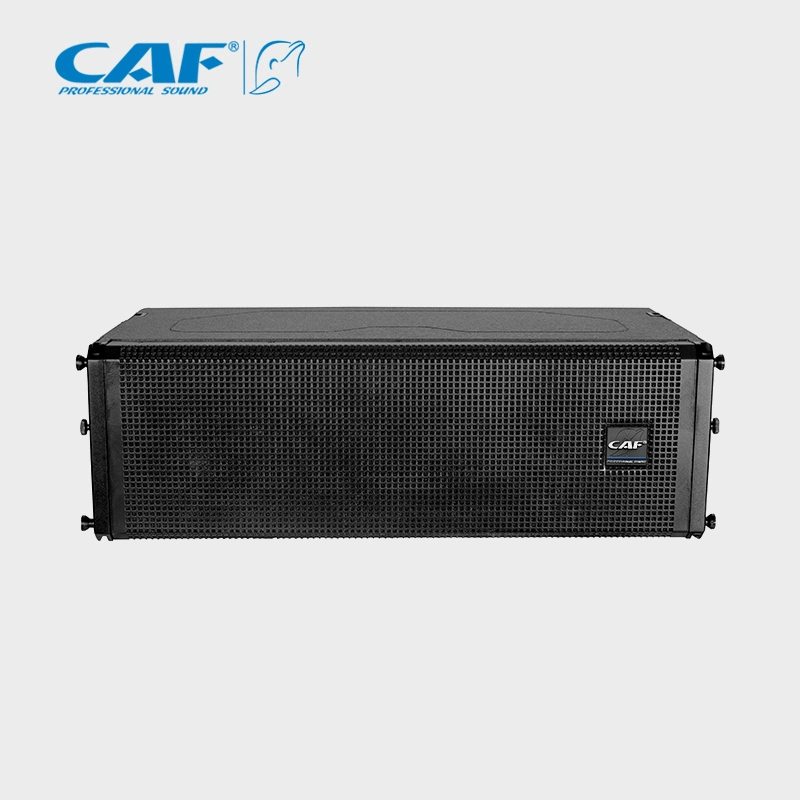 Dual 6 Inch Line Array Speaker for Outdoor Performance PRO Audio System