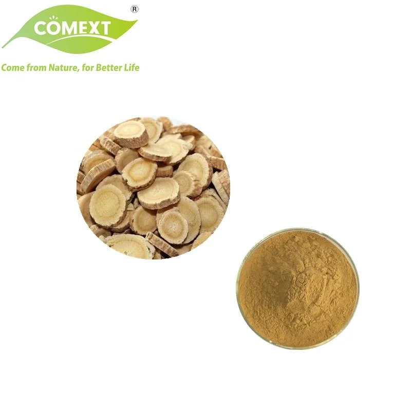 Comext Factory Health Product with Astrangaloside for Immunity Enhancement of Astragalus Extract