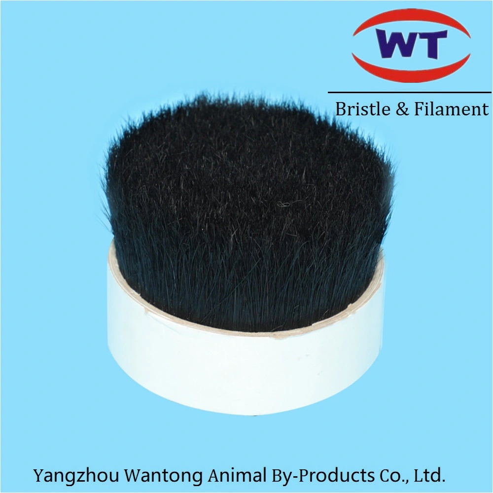 Natural Wild Boar Bristles for Hair Brush