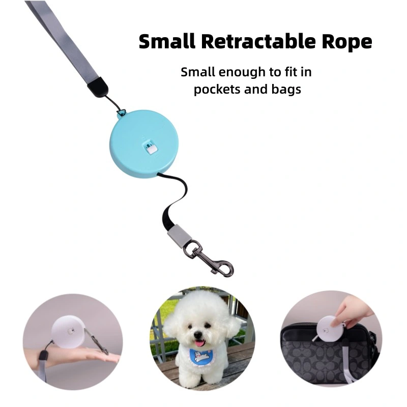 Small Pet Supplies Plus Automatic Retractable Leash