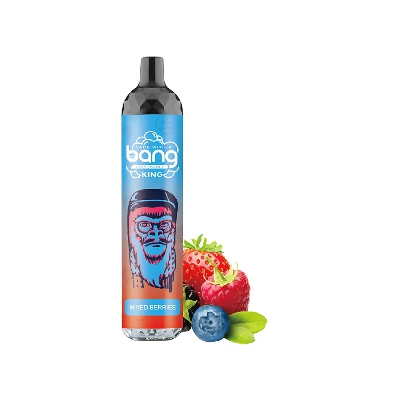 2023 Popular 15ml E-Liquid 6000 Puffs malla bobina recargable Bang Rey 6K VAPE desechable