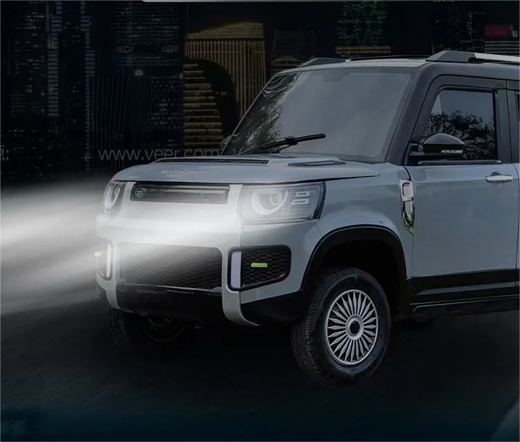 Low-Speed Vehicle off-Road Vehicle Hybrid Solarlithium Battery Electric Vehicle
