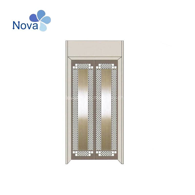 Used Various Elevators Cabin Door Panel for Wholesale/Suppliers