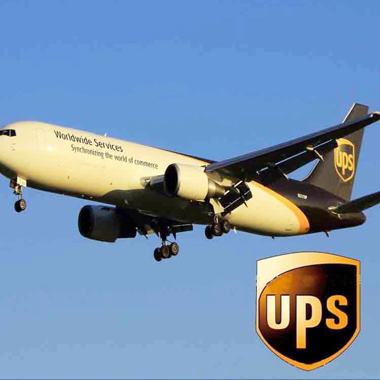 Door to Door Versandunternehmen DHL/UPS/FedEx/TNT Express Air Cargo To USA/Europa/Kanada/Australien