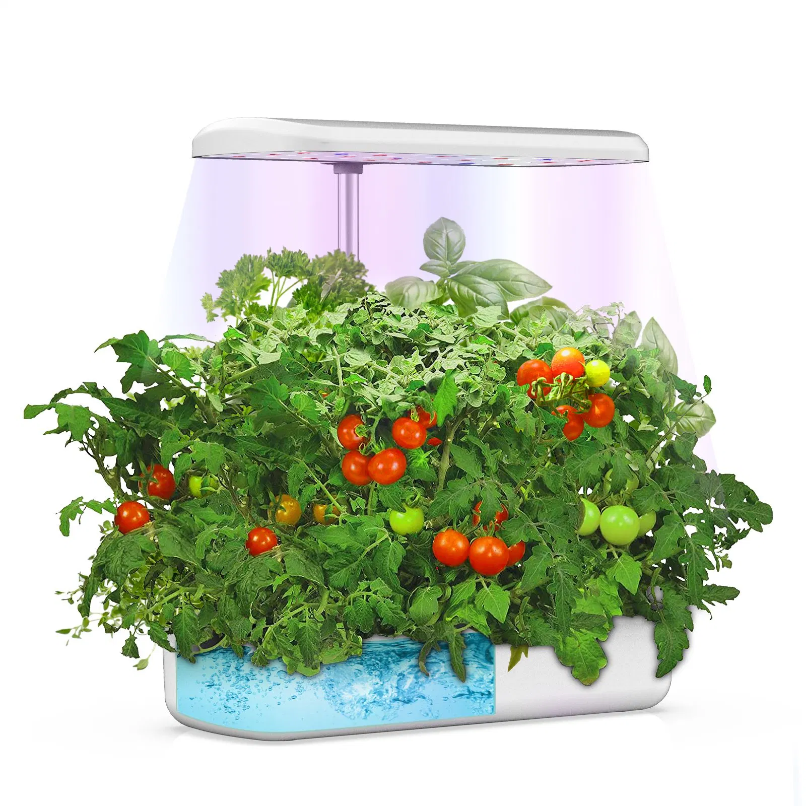 Masmire Indoor Gardens, with 10 Pods, Grows in Water - No Soil, No Mess