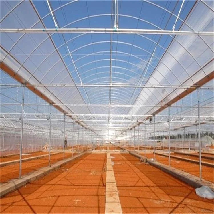 Economic Low Cost Plastic Film Green Houses Poly Tunnel Hydroponics Greenhouses for Tomato/Cucumber/Pepper/Mushroom/Fruits/Vegetables in Winter with Hydropnics