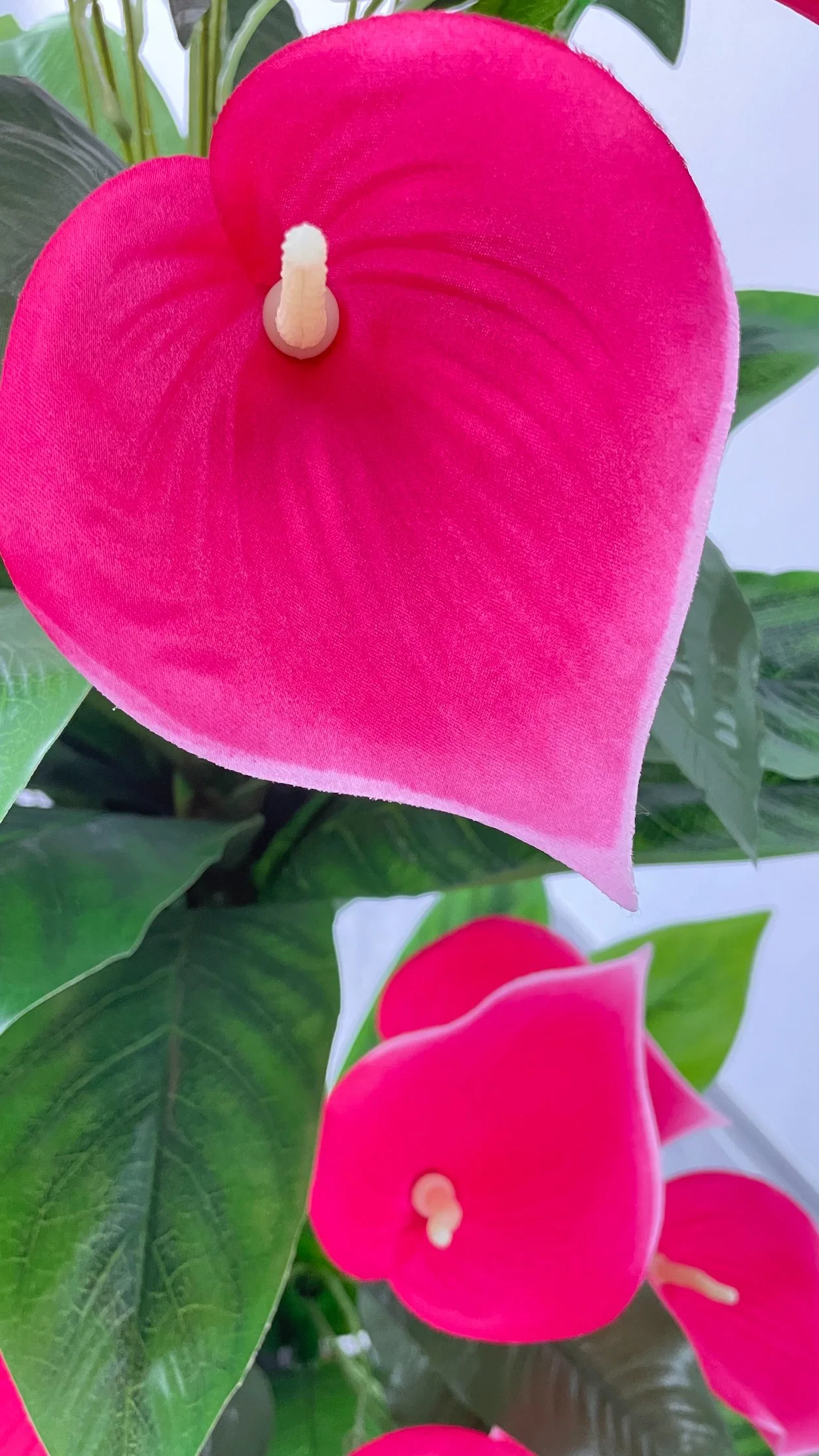 New Arrival Double Dragon Huilan Calla Lily Can Be Customized, Artificial and Decorative Plant Rose Red Flower Tree