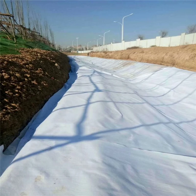 Matériaux de construction Geosynthetics PET PP polypropylène polyester