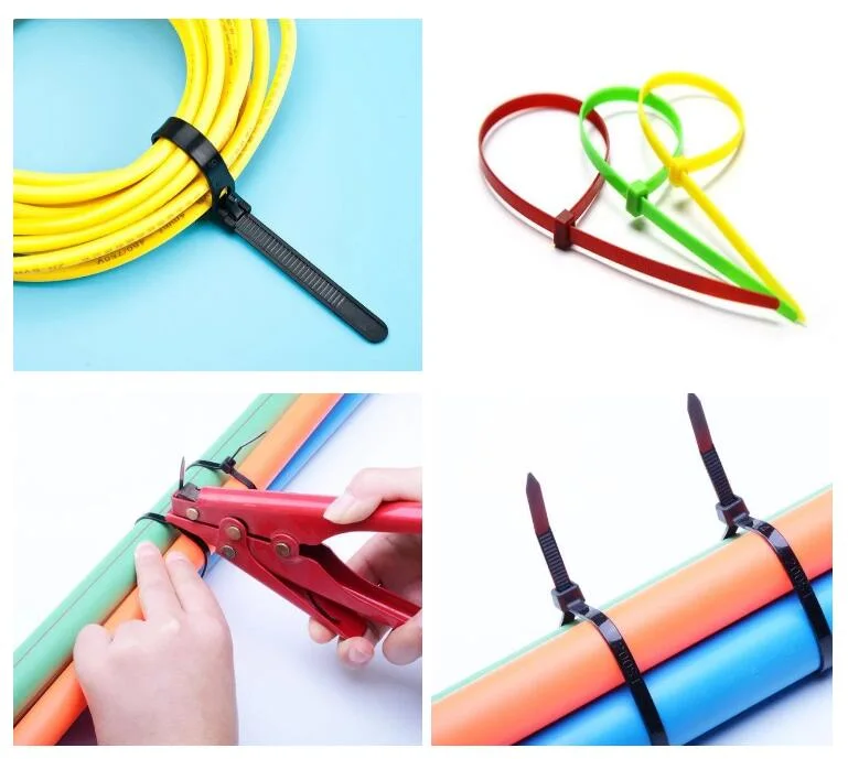 PA66 Colourful Plastic Tie Self-Locking Nylon Cable Ties