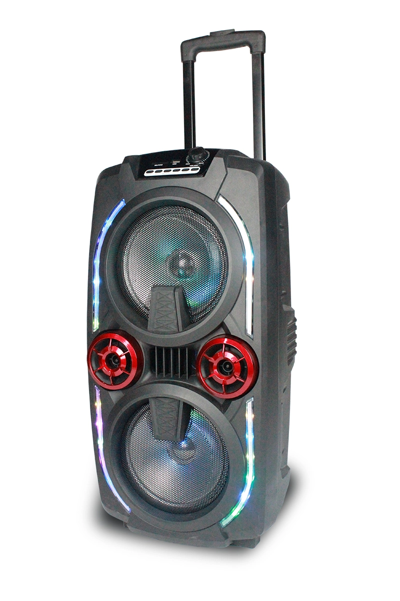 Double 12 Inch Portable Professional Powered DJ Karaoke FM Sound Box Bluetooth Trolley Speaker