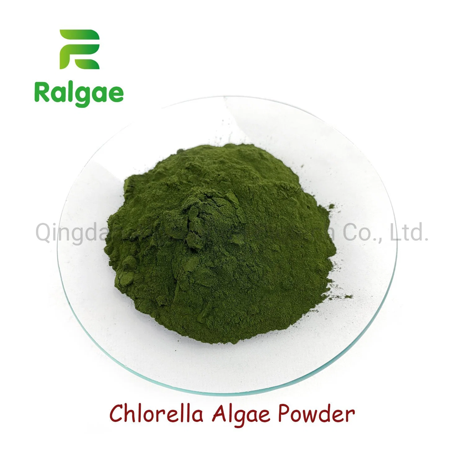 Aditivo para piensos naturales Chlorella altos de proteína en polvo de alga Chlorella