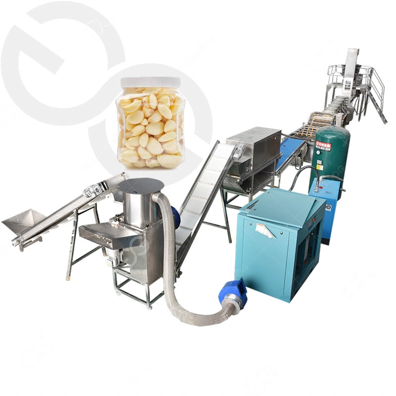 Garlic Processing Machine Plant, Peeling, Washing, Packing