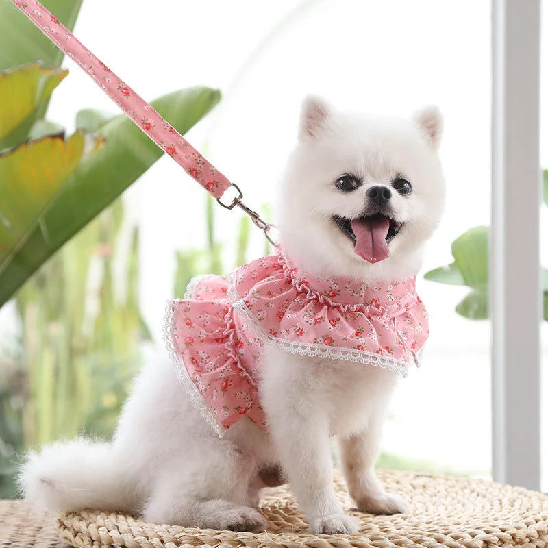 Pet Clothes Chest Braces Traction Lace Teddy Bichon Spring Summer