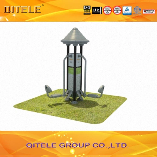 Outdoor&Indoor Gym Fitness Playground Equipment (QTL-1703)