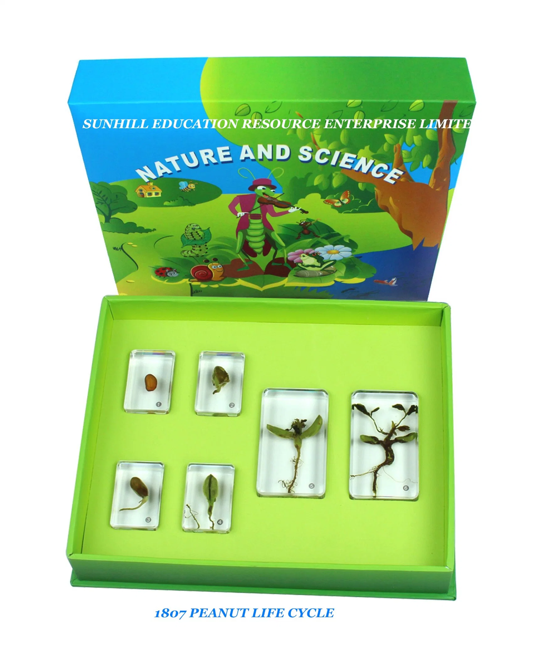 Educación de niños de la Escuela de Ciencias Educationa Toynursery juguete de aprendizaje, los niños Ciencia Pedagogía ejemplar para el jardín de infantes y preescolar