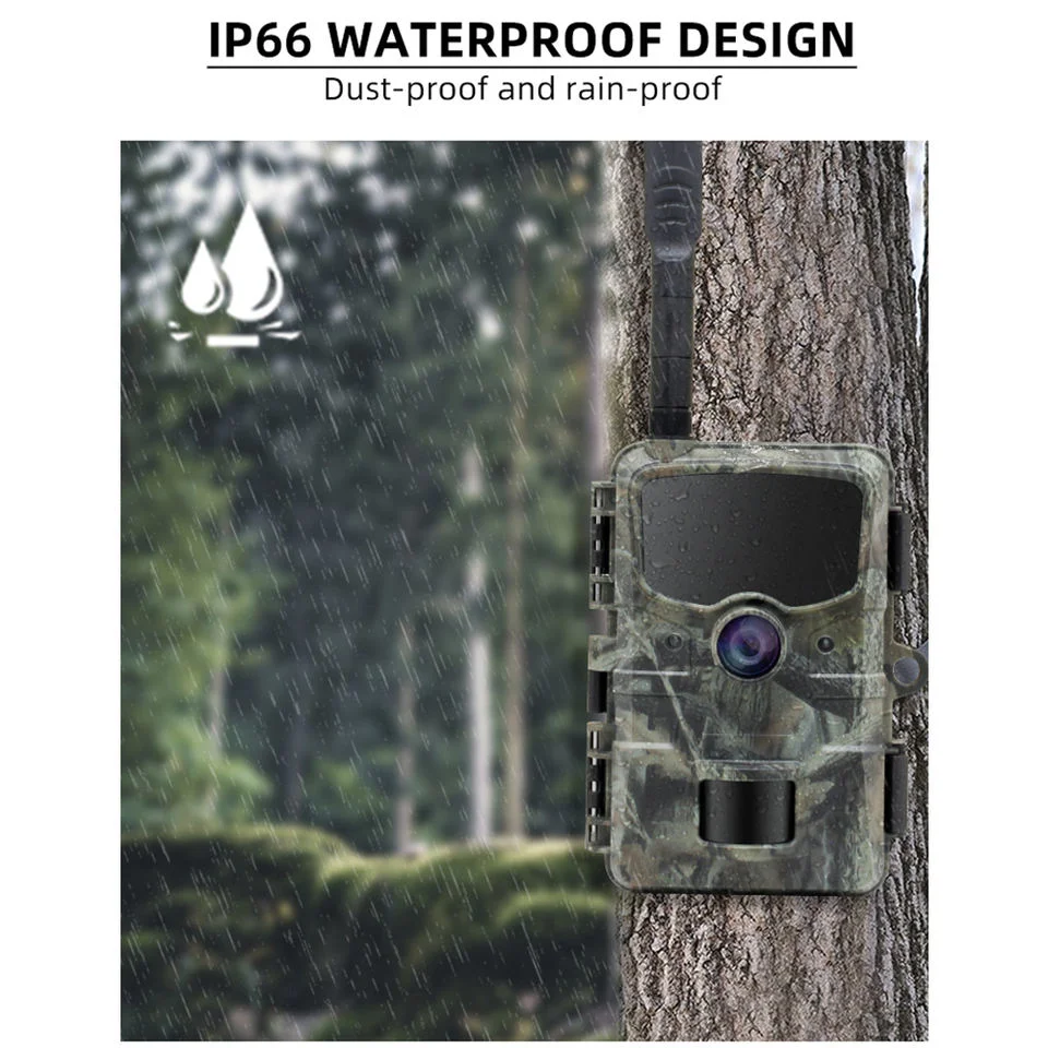 36MP 1080P Night Vision Infrared Waterproof 4G Cellular Wireless Wildlife Hunting Trail Camera Rd3069