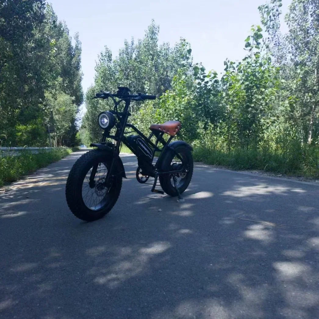 FAT tire E-Bike 48V 500W Off Road Fat tire Electric Scooter Super7 3 moto électrique avec batterie en option