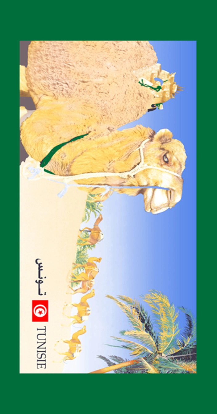 Desert Camel Custom Digital Printing Promotion Microfiber Beach Towel