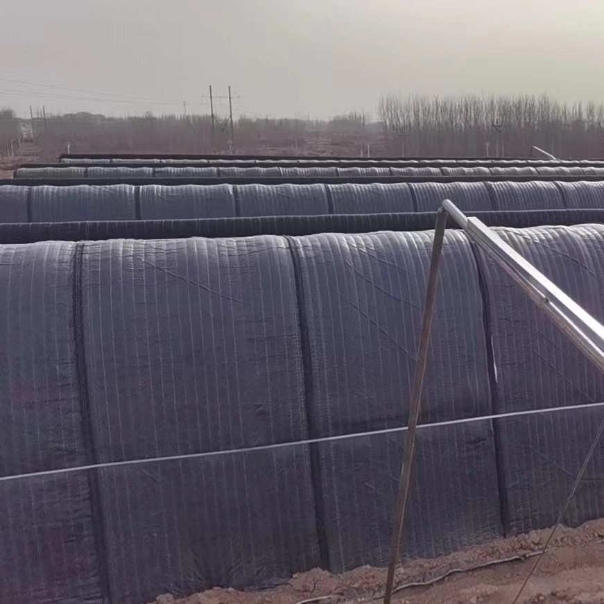 Single Span Commercial Tunnel Plastic Film Farm Agriculture Greenhouse Hall with Insulation Quilt