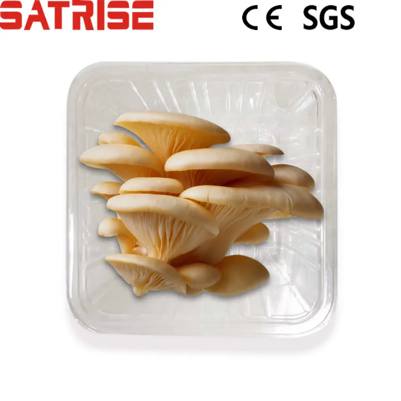 Customizable Plastic Packing Tray for Fresh Mushroom