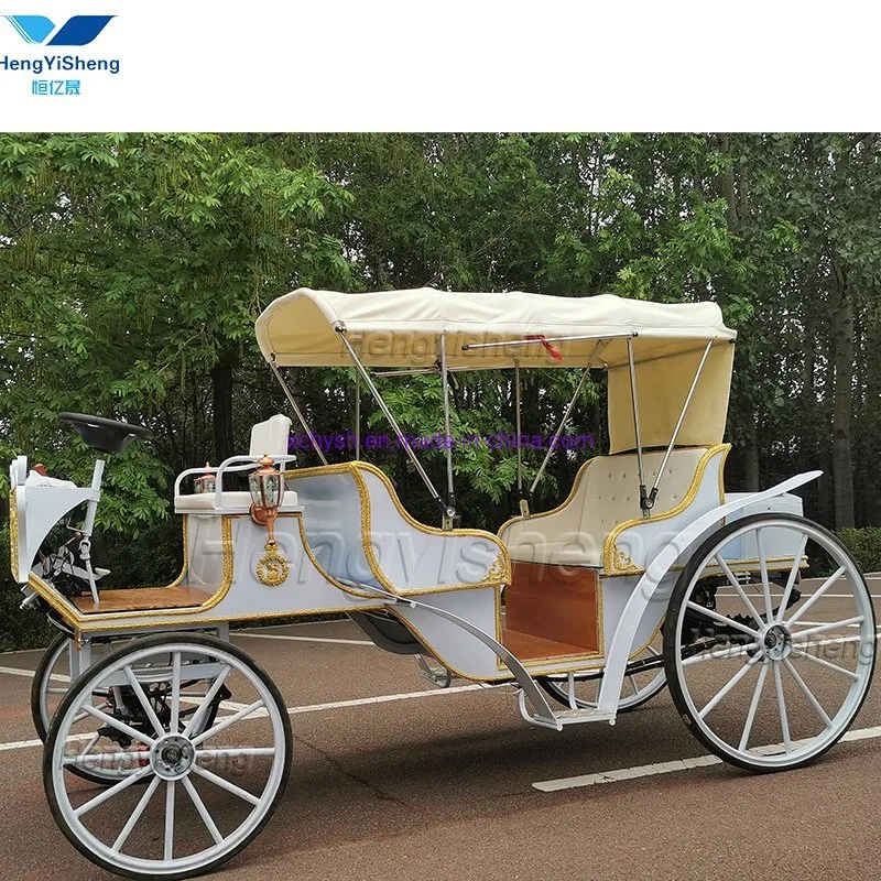 Special Transportation for Sightseeing Horse Carriage for Sale