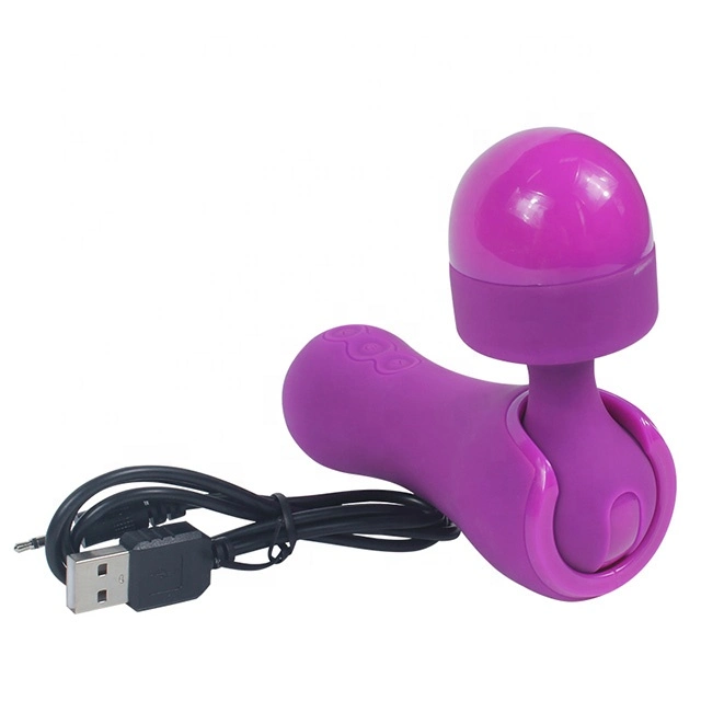 Hot Selling Whirl Wind Silicone Waterproof AV Dildo Vibrator for Women Sex Toy