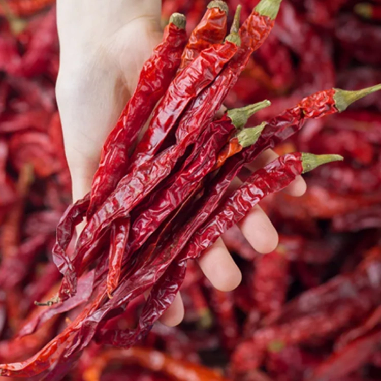 The Delicious Chinese Hot Chili Is Very Popular