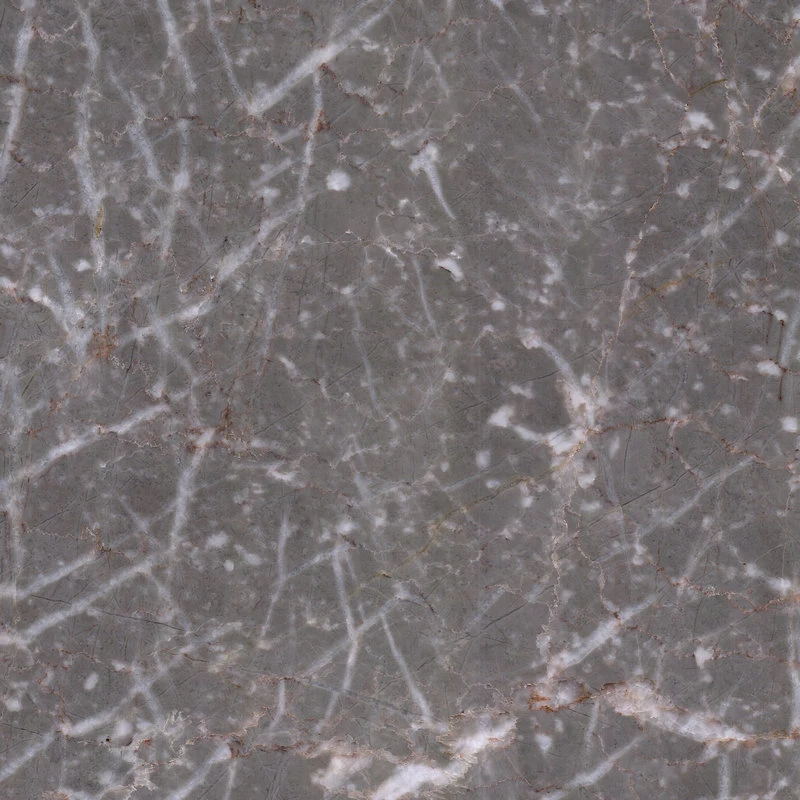 Fabricante de mármore Itália Cinzento Marble Grey com White Veins Grigio Carnico Grey Marble para o Piso