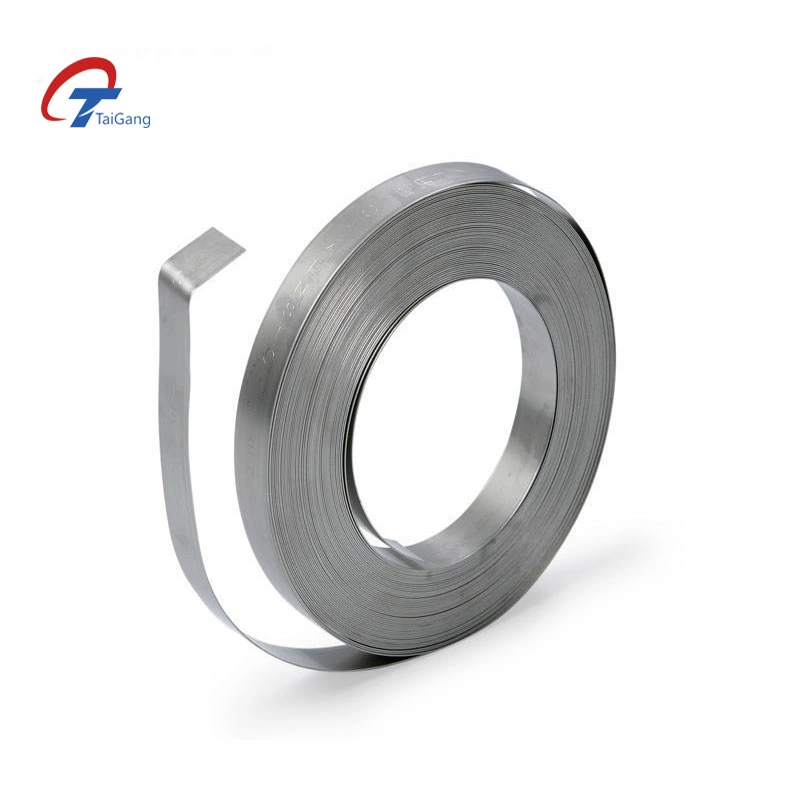 China Hot Sale Prime Factory Supply Professional Manufacture Chinagood Quality Stainless Steel 304 Strip