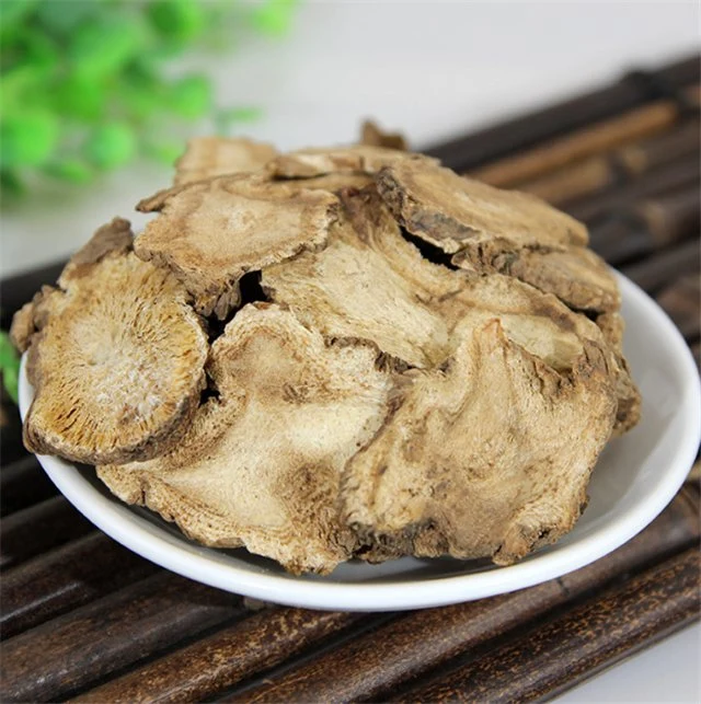 Du Huo Dried Herbal Radix Angelicae Tuhuo Angelicae Pubescentis Radix for Relieve Rheumatism