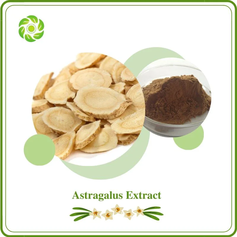 World Well-Being Professional Manufacturer of Chinese Herbal Extract Astragalus Extract