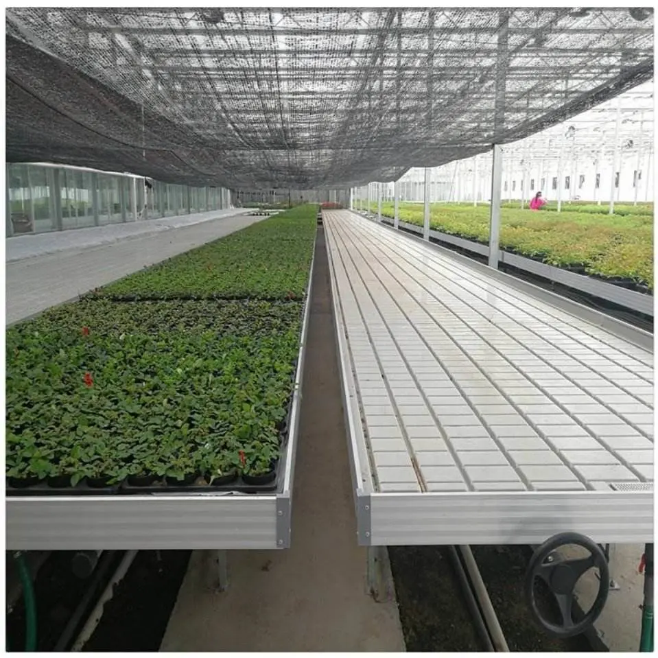 Can Be Customed ABS Multi Span Agricultural Greenhouse Hydroponic Systems Price Customizable Size