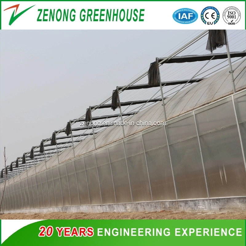 Smart Multi-Span Tunnel/Arch Type PE/Po Film Plastic Agricultural/ Commercial Eco Greenhouse for Tomato/ Cucumber Strawberry Hydroponics Growing System