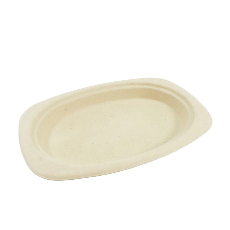 Biodegradable Sugarcane Bagasse Plates, Rectangle, Go-Green Eco-Friendly 100% Compostabledisposable Pulp Dish