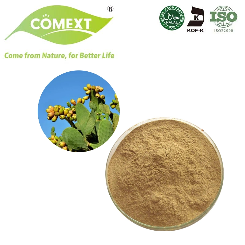 Comext 100% Natural Cactus Fruit Extract Powder Nopal Cactus Extract