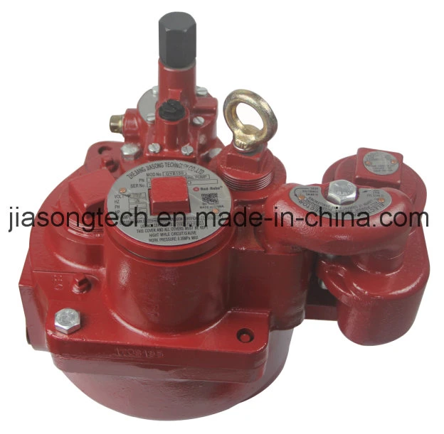 Fuel Oil Tank Gas Station Submersible Pump